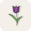 color-easter-flower-nature-plant-spring-tulip-icon