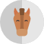 business-chess-horse-start-startup-strategy-up-icon