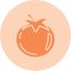 food-fruit-tomato-vegetable-icon