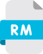 realmedia-file-icon