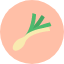 leek-vegetable-cooking-food-vegetarian-organic-icon