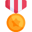 rank-badge-achievement-medal-icon