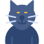 black-cat-icon