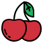 cherry-fruit-food-healthy-organic-icon