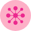 algorithm-automation-network-connected-web-icon