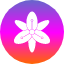 beautiful-floral-flower-lily-plant-tiger-flowers-icon