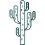 tree-nature-environment-natural-cactus-desert-tropical-icon