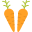 carrots-food-healthy-plants-vegetable-veggies-icon