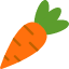 carrots-ecology-green-organic-plant-vegetable-vegetables-icon