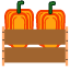vegetables-pumpkin-icon