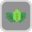 head-iceberg-leaf-leafy-lettuce-salad-vegetable-icon
