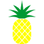 fruit-food-pineapple-icon-icon