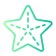 starfish-summer-beach-star-shape-stars-fivepointed-summertime-icon