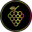 food-fruit-grape-grapes-healthy-juice-vegetable-icon