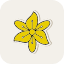flower-freesia-decoration-floral-nature-flowers-icon