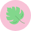 autumn-canada-leaf-maple-icon