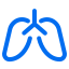 lungs-anatomy-pulmonology-organ-user-interface-icon