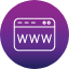 browser-checked-domain-internet-url-window-www-icon