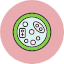 medical-laboratory-magnifier-research-test-icon