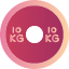weight-plates-fitness-lifting-icon