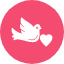 bird-dove-love-pigeon-relationship-romance-valentine-day-icon