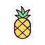 pineapple-summer-food-fruit-fruits-healthy-icon