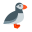 puffin-bird-icon