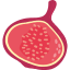 fruit-food-dragon-fruit-icon-icon