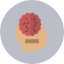 brain-human-body-man-people-user-icon