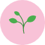 eco-ecology-green-leaf-plant-icon