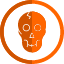 skull-icon