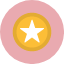 star-rate-rating-favorite-award-icon