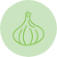 garlic-vegetable-vegetables-veggie-veggies-icon