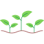 plantseed-icon