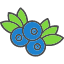 blueberry-food-fruit-fruits-healthy-icon