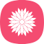 bloom-blossom-dandelion-floral-flower-garden-plant-icon