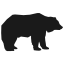 bear-icon