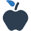 apple-diet-food-healthy-icon