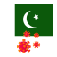 flag-country-corona-virus-pakistan-icon