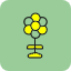 flower-growth-leaf-nature-petals-plant-tulip-icon