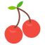 cherries-icon