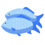fish-mating-spawning-behaviour-propagation-reproduction-icon