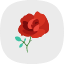 day-flower-love-propose-rose-valentine-valentines-icon