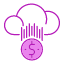 cloud-money-icon
