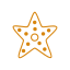 starfish-icon-icon