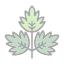 coriander-cilantro-celery-food-herb-leaf-parsley-icon