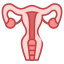 uterus-icon