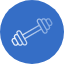 weight-icon
