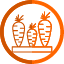 carrots-icon