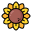sunflower-flower-plant-blossom-garden-floral-nature-icon